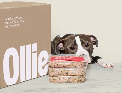 Ollie Dog Food Cost